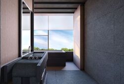 21 Anderson (D10), Condominium #450568121